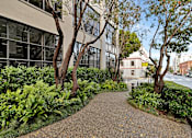Thumbnail 17 of 25 - A pathway with trees and plants on both sides leading to a white building.