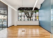 Thumbnail 5 of 25 - A room with a tree outside the window and a wooden floor.
