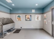 Thumbnail 4 of 11 - Dog wash station at Quarry Apartments and Townhomes in DeWitt, Michigan