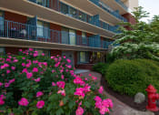 Thumbnail 16 of 27 - Steward Tower Apartments Balconies