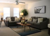 Thumbnail 9 of 17 - Ridgepointe Living Room