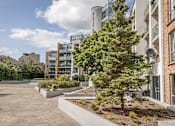 Thumbnail 3 of 7 - a courtyard with a tree in front of a building