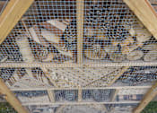 Thumbnail 5 of 7 - a group of cats are in a cage