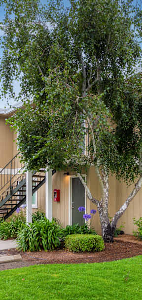 exterior view of Ivy Arrellaga