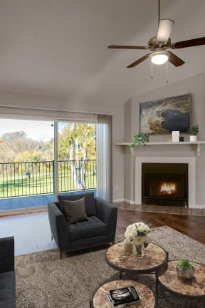 Living Room with Balcony at The Villas at Quail Creek Apartment Homes in Austin Texas