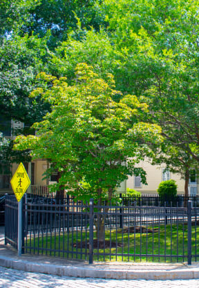 a park with trees and a fence