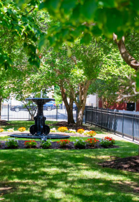 a fountain in the middle of a grassy area surrounded by trees