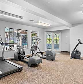 A gym with treadmills, elliptical machines, and dumbbells.