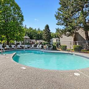 A swimming pool surrounded by trees and a building.