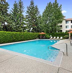 A swimming pool surrounded by trees and a building.