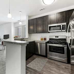 Living and Kitchen View