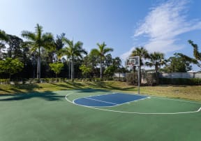 a basketball court with palm trees in the background