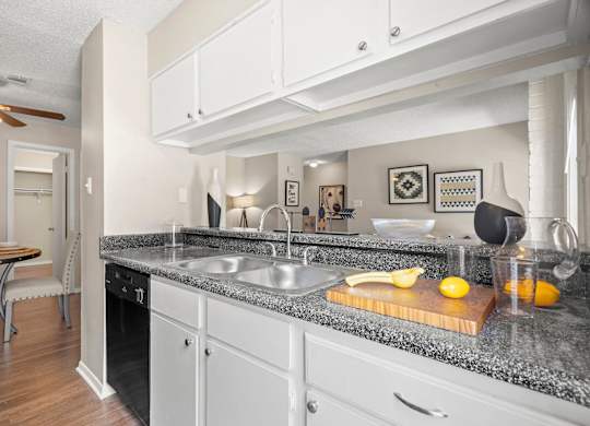 Kitchen, Dishwasher, Sink, Living Area, Dining Area