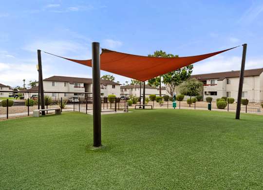 Dog Park, Park, Pets, Dogs