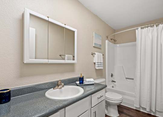 A bathroom with a sink, mirror, toilet, and shower.