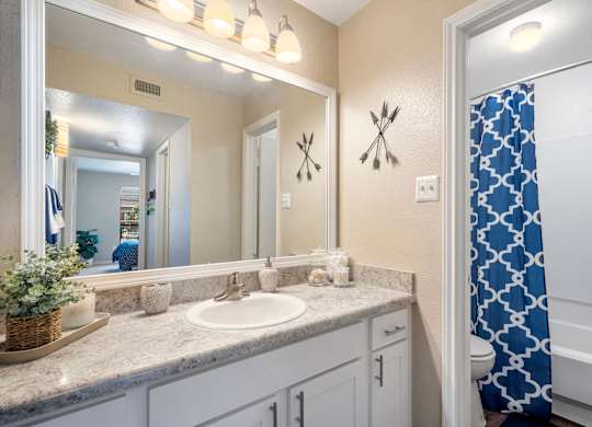 Bathroom, Sink, Shower, Bathtub, Mirror