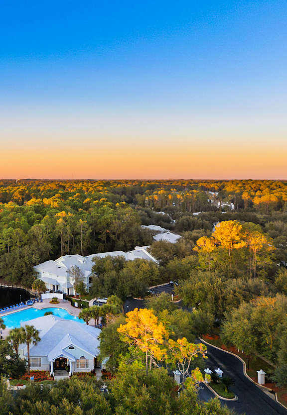 A beautiful aerial view of a resort with a swimming pool surrounded by trees.