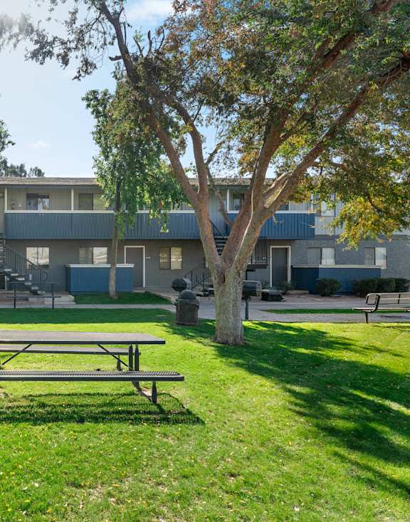 A picnic table is in the foreground of a grassy area with trees and apartment buildings in the background.