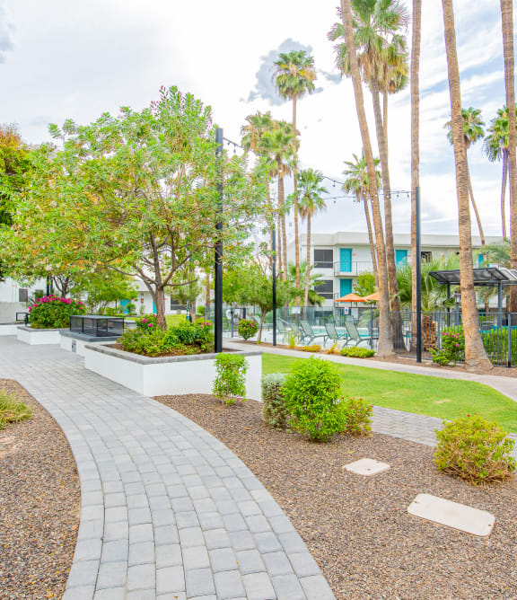 a courtyard with palm trees and a building in the background
