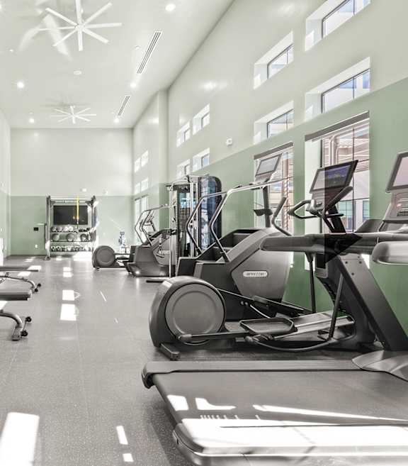 fitness center at AVE Paradise Valley