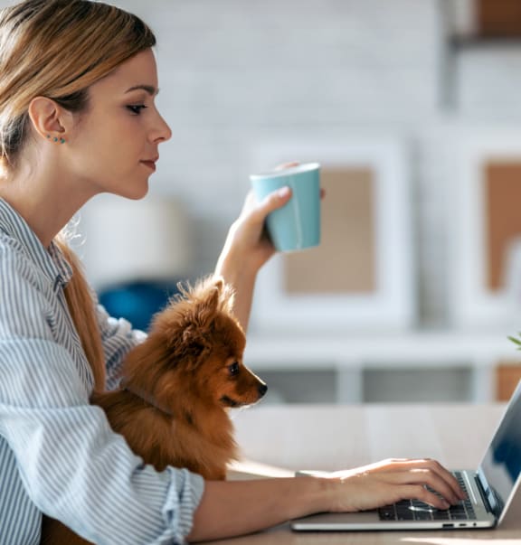 woman drinking coffee and looking at laptop with her dog sitting in her lap