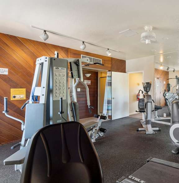 A gym with treadmills, a bench, and a weight machine.