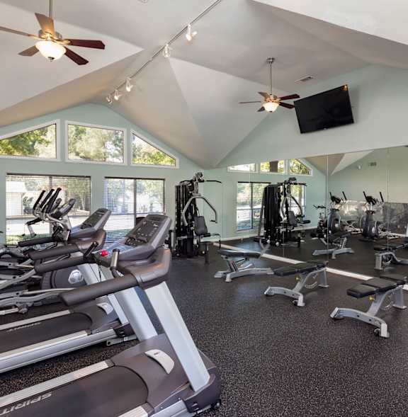 A gym with treadmills, exercise bikes, and other equipment.