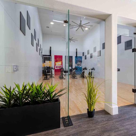 A hallway with a glass door and a plant on the side.