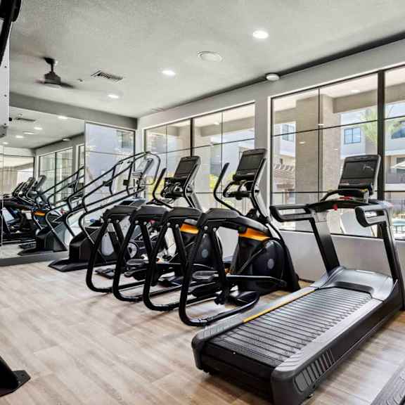 A gym with treadmills and elliptical machines.