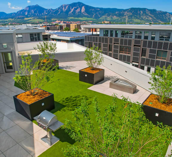 an aerial view of a rooftop garden with trees and a hot tub