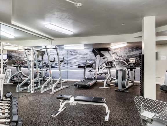 A gym with a variety of equipment including a leg press machine, a bench press, and a treadmill.