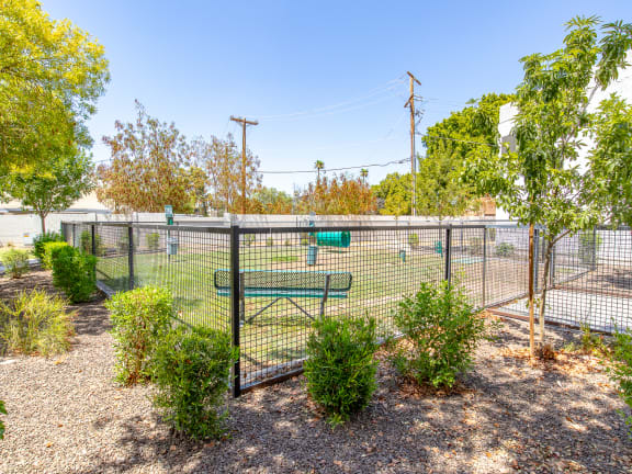 a fenced in dog park with a bench and trees