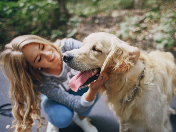 a woman is petting a golden retriever dog at The Haven, Georgia