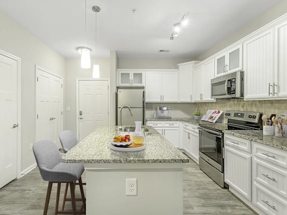 a kitchen with stainless steel appliances and granite counter tops at Henley at Mirror Lake Apartments, Georgia
