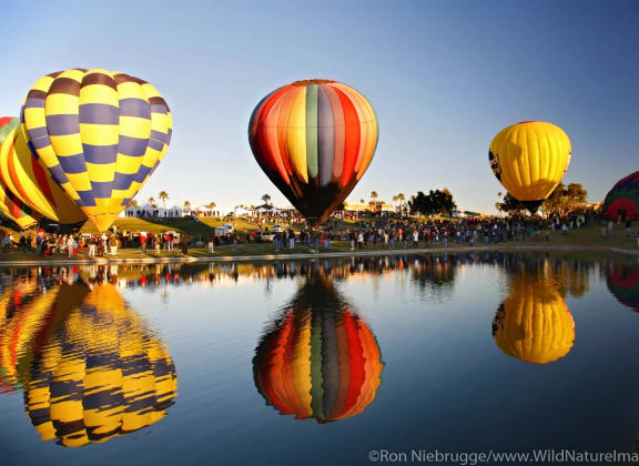 Hot Air Balloons at Pillar at Fountain Hills, Fountain Hills, AZ, 85268