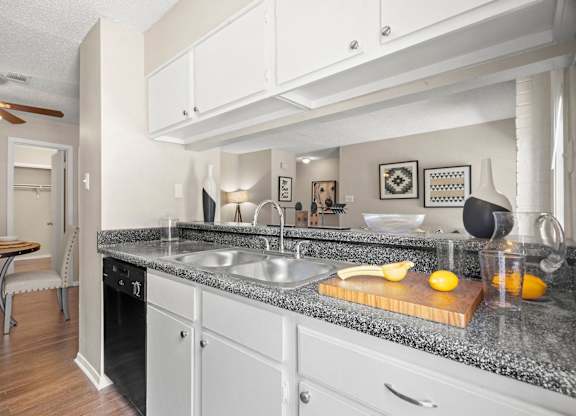 Kitchen, Dishwasher, Sink, Living Area, Dining Area