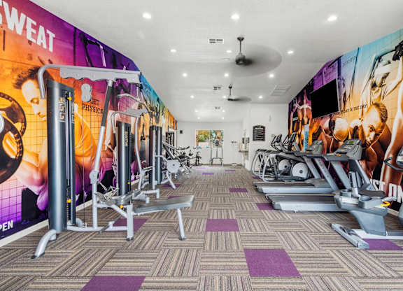 Fitness, Treadmill, Equipment, Exercise, Gym