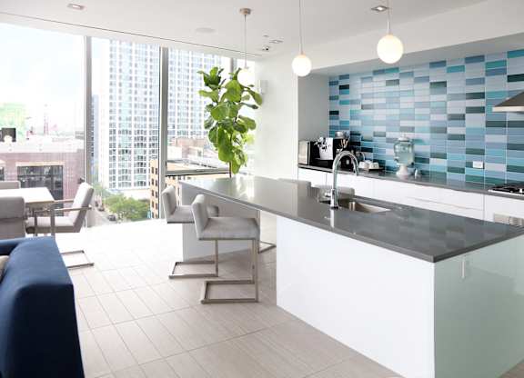Demo Kitchen at Viridian on Sheridan, Chicago, IL