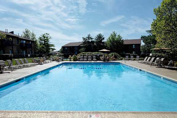 A large swimming pool in a sunny outdoor setting.