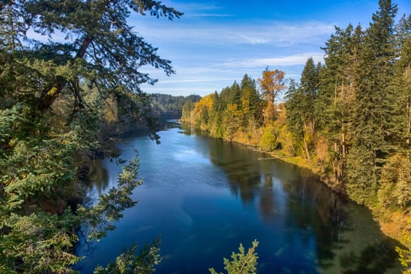 The Clackamas River in Oregon During a Fall Day