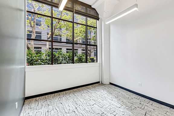 A room with a window overlooking a tree.