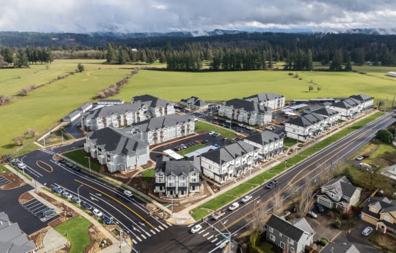 an aerial view of a community with houses and a road