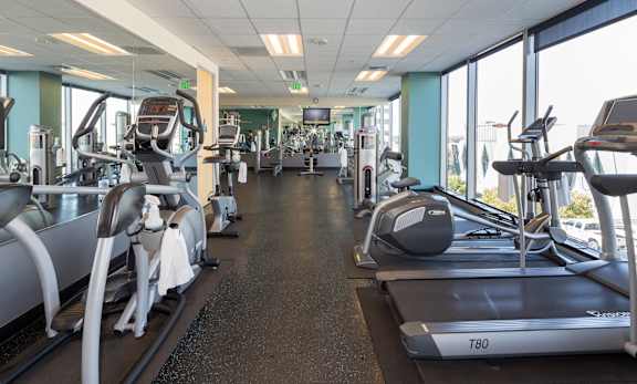 A gym with treadmills and elliptical machines.