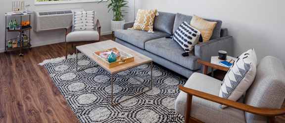 A living room with a grey couch, a coffee table, and a rug.