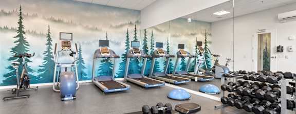 A gym with a wall mural of a forest scene.