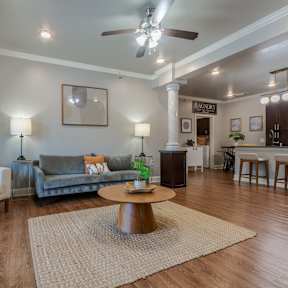 Living Area at Arlo Luxury Apartment Homes, Little Rock, Arkansas