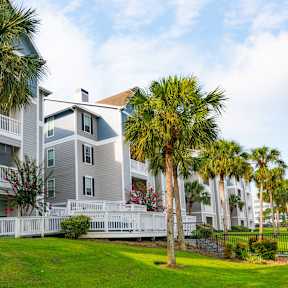 A pool surrounded by palm trees and a building in the background.