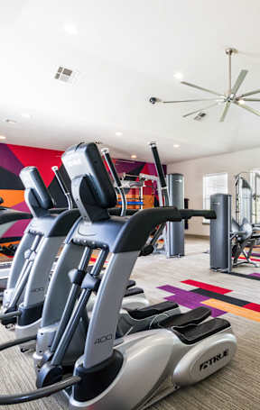 fitness center- cardio machines, weighted machines, free weights