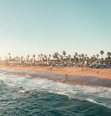 a beach with palm trees and the ocean