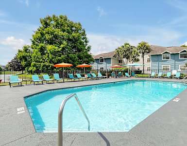 A large swimming pool with a metal ladder and sun loungers.